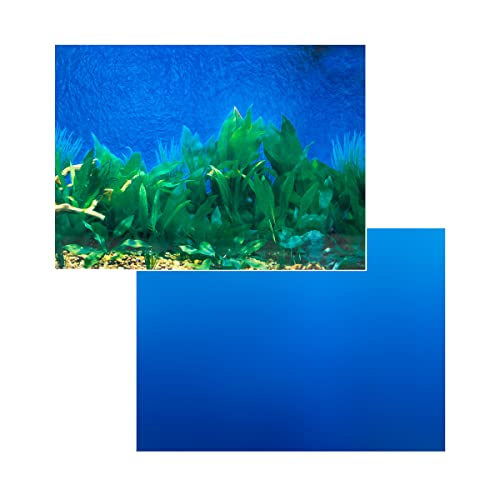 Penn-Plax Dbc10 in transparenter Box Penn-Plax Dbc10 in transparenter Box von Penn-Plax