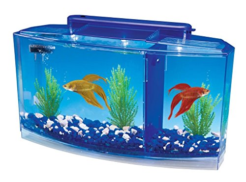 Penn-Plax Deluxe Triple Betta Schleife Aquarium Tank, 0.7-Gallon von Penn-Plax