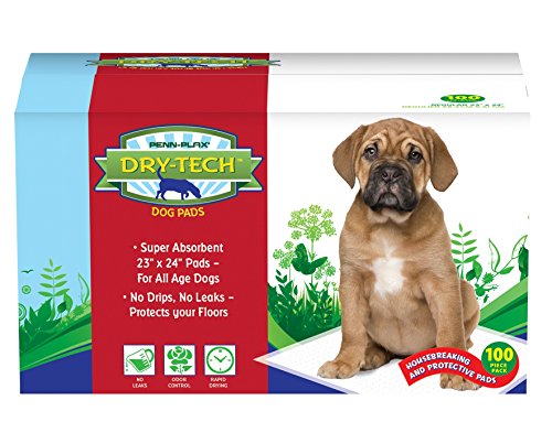 Penn-Plax Dry-Tech Trainingsunterlagen für Hunde und Welpen, super saugfähig, 58,4 x 61 cm, Normale Größe, ideal für alle Altersgruppen und Rassen, 100 Stück Penn-Plax Dry-Tech Trainingsunterlagen für Hunde und Welpen, super saugfähig, 58,4 x 61 cm, Normale Größe, ideal für alle Altersgruppen und Rassen, 100 Stück von Penn-Plax