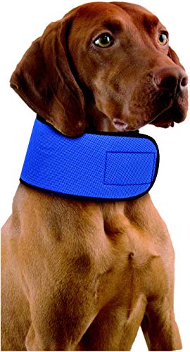 Penn Plax Glacial Gear Cooling Collar for Dogs, Large, Blue von Penn Plax