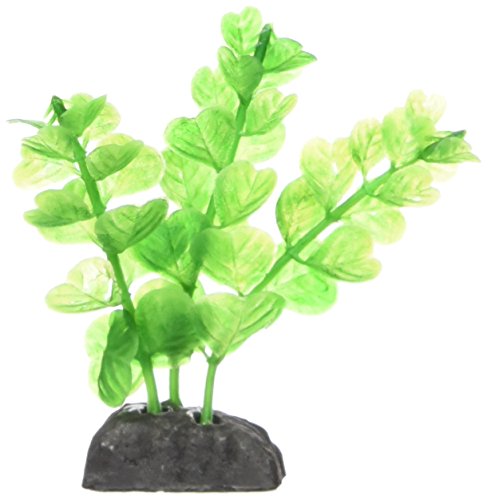 Penn-Plax Kleeblatt/Grünpflanze. von Penn-Plax