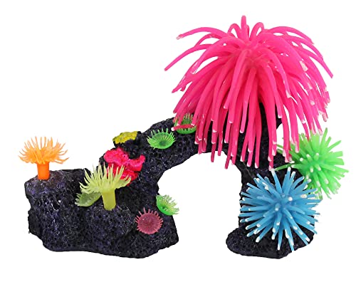 Penn-Plax Korallenriff Aquarium-Dekoration – lebensechte Bewegung und lebendige Farben – Bogen mit rosa Silikon-Anemone – Medium Penn-Plax Korallenriff Aquarium-Dekoration – lebensechte Bewegung und lebendige Farben – Bogen mit rosa Silikon-Anemone – Medium von Penn-Plax