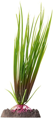 Penn-Plax Pflanzen-Hr Gras, klein von Penn-Plax