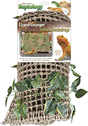 Penn Plax Reptology Eidechsenliege mit Reben für Bartdrachen, Iguanas und andere Reptilien, 500 g Penn Plax Reptology Eidechsenliege mit Reben für Bartdrachen, Iguanas und andere Reptilien, 500 g von Penn-Plax