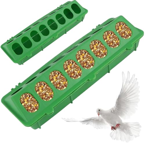 Baby Chick Feeder, 2pcs Plastik -Wachtel -Feeder, 16 Löcher kein Durcheinander Keine Abfalltaubenwasserer, leicht zu reinigen Vogelwasserspender, Wachtel Baby Chick Feeder, 2pcs Plastik -Wachtel -Feeder, 16 Löcher kein Durcheinander Keine Abfalltaubenwasserer, leicht zu reinigen Vogelwasserspender, Wachtel von Peosaard