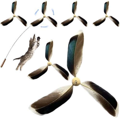 Katzenfedern Spielzeug Nachfüllung, 6pcs 6,3 Zoll Propeller Katzenspielzeugfedern Ersatz, interaktiver Katzenstab Spielzeug nach Hause für Katzen, Kätzchen, Katzenspielzeugfedern Ersatz Katzenfedern Spielzeug Nachfüllung, 6pcs 6,3 Zoll Propeller Katzenspielzeugfedern Ersatz, interaktiver Katzenstab Spielzeug nach Hause für Katzen, Kätzchen, Katzenspielzeugfedern Ersatz von Peosaard