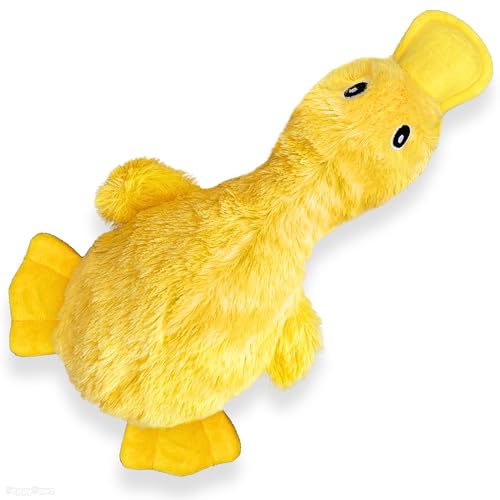 PeppyPawz Quietschende süße gelbe Ente, kein Füllen, weiches Plüsch-Kauspielzeug für kleine, mittelgroße und große Rassen, langlebiges lustiges Indoor-Welpen- und Seniorenspielzeug, interaktives von PeppyPawz