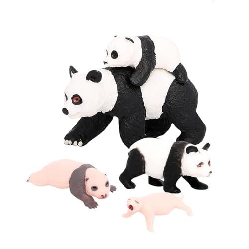 Perfeclan 4 Stück Panda Tier Lebenszyklus Modell, Klassenzimmer Requisiten, Lernspielzeug, Panda Wachstumszyklus Figuren, Panda-Wachstumszyklus 4 von Perfeclan