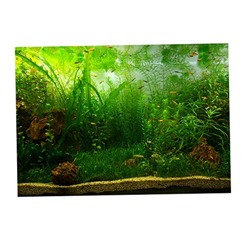 Perfeclan Aquarium Hintergrund selbstklebend Rückwand Folie Fotorückwand, Wasserpflanzen, 122x61cm von Perfeclan