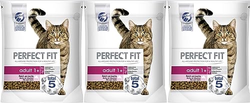 Adult 1+ – Trockenfutter für Erwachsene Katzen ab 1 Jahr – Reich an Lachs – Unterstützt die Vitalität – 3 x 750 g (3 Beutel) von Perfect Fit