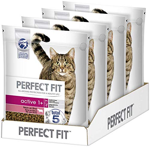 Perfect Fit Active 1+ – Trockenfutter für erwachsene, aktive Katzen ab 1 Jahr – Reich an Rind – Unterstützt die Vitalität – 4 x 1,4 kg Perfect Fit Active 1+ – Trockenfutter für erwachsene, aktive Katzen ab 1 Jahr – Reich an Rind – Unterstützt die Vitalität – 4 x 1,4 kg von Perfect Fit