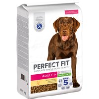 Perfect Fit Adult Hund (>10kg) - 2 x 11,5 kg von Perfect Fit