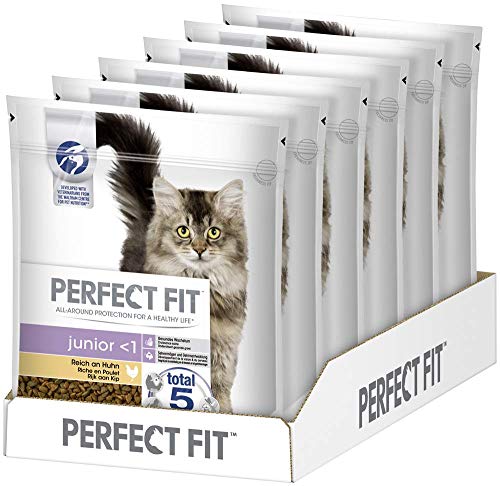 Perfect Fit Junior <1 Trockenfutter für Katzen unter 1 Jahr, 6 Beutel, 6x750g – Premium Katzenfutter trocken für Kätzchen reich an Huhn, zur Unterstüztung einer gesunden Entwicklung Perfect Fit Junior <1 Trockenfutter für Katzen unter 1 Jahr, 6 Beutel, 6x750g – Premium Katzenfutter trocken für Kätzchen reich an Huhn, zur Unterstüztung einer gesunden Entwicklung von Perfect Fit