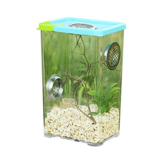 Perfect Flower Reptil Fütterungsbox,Mini Terrarium Transportbox,Reptil Fütterungsbox Aus Acryl,Tragbarer Reptilienzuchtbox,Transparente Acryl Reptilienzuchtbox Für Eidechse, Spide, Hornfrosch, Käfer Perfect Flower Reptil Fütterungsbox,Mini Terrarium Transportbox,Reptil Fütterungsbox Aus Acryl,Tragbarer Reptilienzuchtbox,Transparente Acryl Reptilienzuchtbox Für Eidechse, Spide, Hornfrosch, Käfer von Perfect Flower