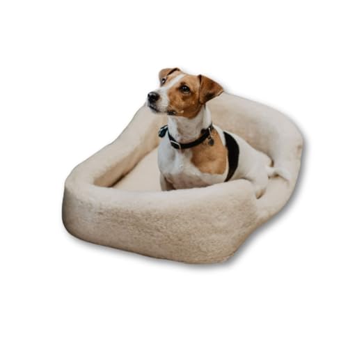 Perfect Wool - Hundeliege Kleine Mittelgroße Hunde - Hundebett aus Schafwolle - Katzenbett 40 x 60 cm - Hundekissen aus natürlichem Stoff - mit abnehmbarem Innenpolster - Beige von Perfect Wool