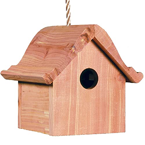 Perky-Pet Zaunkönig Vogelhaus aus Holz | Vogelhäuschen zum Aufhängen | Lochöffnung 4 cm | Mod. 50301 von Perky-Pet