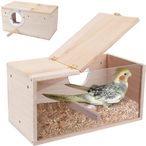 Perttypet Wellensittich Nistkasten, Hölzerne Vogelzuchtbox Transparente Design, Vogelzucht Brutkasten Vogelhaus für Kleine Vögel Wie Finken, Wellensittiche, Kanarienvögel Usw(Große Größe) von Perttypet