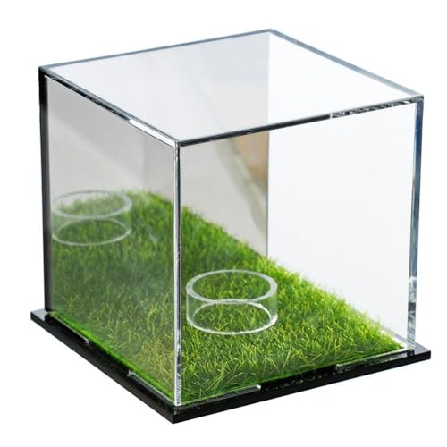 Pesfehhy Golfball-Vitrine, Quadratische Golfball-Vitrine, Gedenkbox, Aufbewahrungsbox mit Acrylspiegel von Pesfehhy