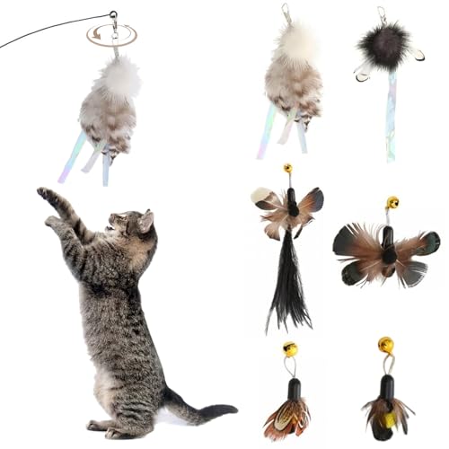 6pcs Katzenwurm Spielzeug nachfüllen Plüschkatze Spielzeug Stab Austausch mit Glocken, zufällige Farbkatze Zauberstab, interaktive Katzenspielzeug Nachfüllung für Innen und Außenkatzen 6pcs Katzenwurm Spielzeug nachfüllen Plüschkatze Spielzeug Stab Austausch mit Glocken, zufällige Farbkatze Zauberstab, interaktive Katzenspielzeug Nachfüllung für Innen und Außenkatzen von Pesoncarl