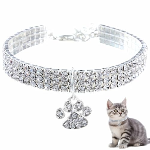 Diamond Hundekragen Luxus Bling Hundehalsband Verstellbare Katzenkettenkragen zarte Halskette mit Herzpfotenheizenschmuckzubehör für Hunde & Katzen, s Diamond Hundekragen Luxus Bling Hundehalsband Verstellbare Katzenkettenkragen zarte Halskette mit Herzpfotenheizenschmuckzubehör für Hunde & Katzen, s von Pesoncarl
