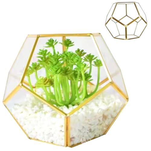 Glaspflanzenterrarium, 7,1x7.1x5,5 '' Schweißpentagon Glass Terrarium mit Tür, geometrisches geschlossenes Terrarium für Farn Succulent Plants Messing von Pesoncarl