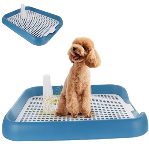 Haustierschalen, Hundetöpfchenschale, 18x14x2 Nicht-Schlupf-Mesh-Hundedrüsenbox mit sicherem Verriegelungsriegel, abnehmbares Innenköpfchen-Trainings-Pee-Pad-Halter für kleine und mittlere Hunde Haustierschalen, Hundetöpfchenschale, 18x14x2 Nicht-Schlupf-Mesh-Hundedrüsenbox mit sicherem Verriegelungsriegel, abnehmbares Innenköpfchen-Trainings-Pee-Pad-Halter für kleine und mittlere Hunde von Pesoncarl