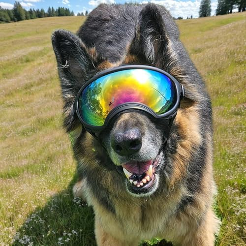 Hund Sonnenbrille Große Hundbrille mit verstellbarem Riemen UV-Schutzbrille für Hunde Winproof Welpe Sonnenbrille für mittelgroße Haustiergläser Hunde Schutz, m von Pesoncarl