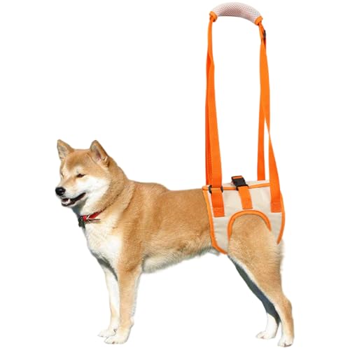 Hundeliftgurt, einstellbare und weich atmungsaktive Hundeschlinge für große Hunde Hinterbein -Unterstützung, ideal für Senioren, Verletzte, Behinderte, Operation Rehabilitation, L, Kragen Hundeliftgurt, einstellbare und weich atmungsaktive Hundeschlinge für große Hunde Hinterbein -Unterstützung, ideal für Senioren, Verletzte, Behinderte, Operation Rehabilitation, L, Kragen von Pesoncarl