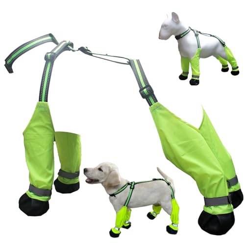 Hundeschuhe wasserdichte Hunde Regenstiefel Anti-Rutsch, Kleidung-resistente Stiefel & Pfotenschutz Sommerdünnstil-Schuhe Großgröße Hunde für Außenspaziergänge, Innenharte Oberfläche von Pesoncarl