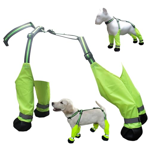 Hundeschuhe wasserdichte Hunde Regenstiefel Anti-Rutsch-, Keebärchen-resistente Stiefel & Pfotenschutz Sommerschuhe Großgröße Hunde für Außenspaziergänge, Hartfläche in Innenräumen, XL von Pesoncarl