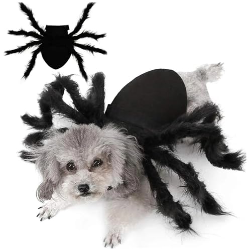 Hundespinnenkostüm, gruselige Pelzhund Halloween Kostüm, einstellbare Kostüme von Kostümen, Katzen -Outfit für Halloween -Party, Maskerade, Fotoshootings, s von Pesoncarl