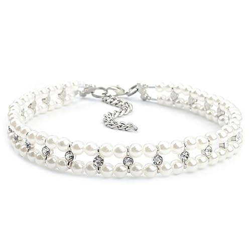 Perlhundkragen für kleine Hunde niedliche verstellbare Katzenhalsbänder für Mädchen Katzen Strass Bemenk Hundekragen Luxus Kleiner Haustier Choker für Welpen Kätzchen Hochzeit und Geburtstag Perlhundkragen für kleine Hunde niedliche verstellbare Katzenhalsbänder für Mädchen Katzen Strass Bemenk Hundekragen Luxus Kleiner Haustier Choker für Welpen Kätzchen Hochzeit und Geburtstag von Pesoncarl