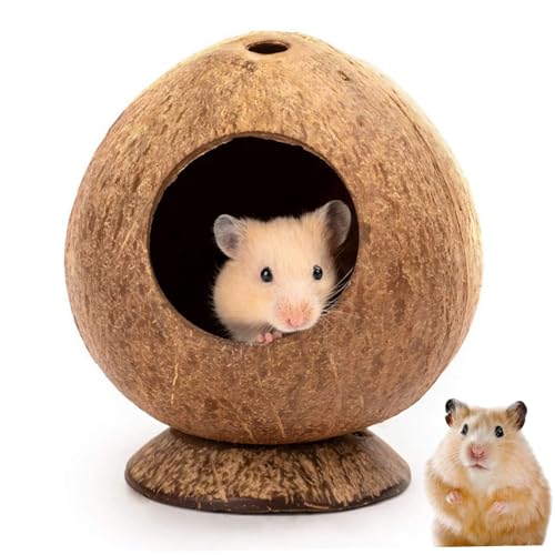 Pesoncarl Hamsterhaus 5.3x4, 7in Kokosnussförmiger Hamster-Hune mit Stabiler Basis und 2, 2-Zoll-Loch Natural atmungsaktiv Pesoncarl Hamsterhaus 5.3x4, 7in Kokosnussförmiger Hamster-Hune mit Stabiler Basis und 2, 2-Zoll-Loch Natural atmungsaktiv von Pesoncarl
