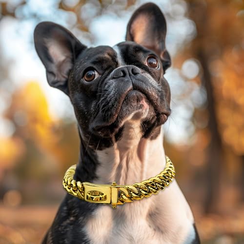 Pesoncarl Hundekettenkragen 19mm Dickes Gold Metallhundkragen Edelstahlkette mit Schnalle Starker Hochleistungs -Halsketten -Halsketten -Haustier für kleine mittelgroße, große Hunde Pesoncarl Hundekettenkragen 19mm Dickes Gold Metallhundkragen Edelstahlkette mit Schnalle Starker Hochleistungs -Halsketten -Halsketten -Haustier für kleine mittelgroße, große Hunde von Pesoncarl