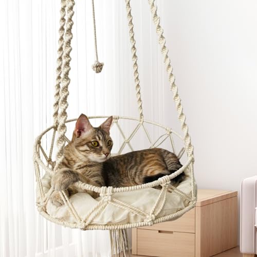 Pesoncarl Katze Hängematte 51 '' Langes Hängekatze Bett mit 15, 8 '' Kissen Boho Macrame Hängematte Schwungbett hängende Wanddekoration für Haustierschlafe, Spielen, Klettern und Lautstärken Pesoncarl Katze Hängematte 51 '' Langes Hängekatze Bett mit 15, 8 '' Kissen Boho Macrame Hängematte Schwungbett hängende Wanddekoration für Haustierschlafe, Spielen, Klettern und Lautstärken von Pesoncarl