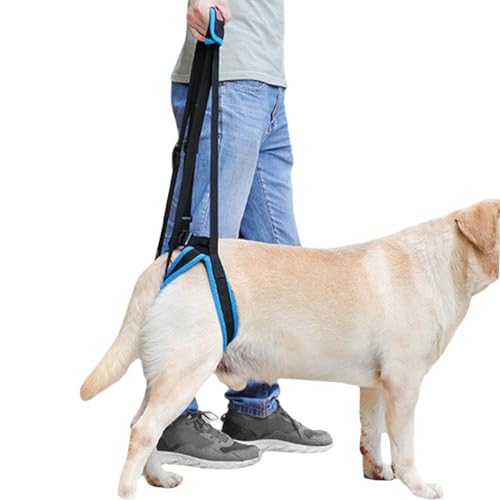 Hundegeschirr zum Heben, tragbares Hundeschlinge für Rücken und Beine, Hebeunterstützung und Reha-Geschirr für schwache Rückenverletzungen und Beine, Behinderungen von Pessrrtewg