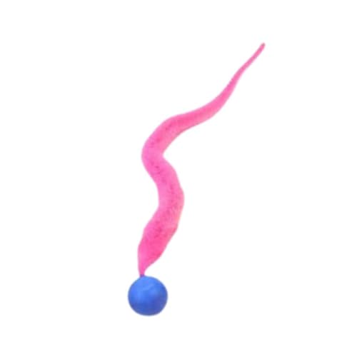 Interaktives Spielzeug für Kätzchen, kitzeln, bunt, hüpfender Kätzchen-Spielball, Plüsch-Beiß-Teasing, Q6Q1, Ballschwanz, Haustierspielzeug für den Innenbereich Interaktives Spielzeug für Kätzchen, kitzeln, bunt, hüpfender Kätzchen-Spielball, Plüsch-Beiß-Teasing, Q6Q1, Ballschwanz, Haustierspielzeug für den Innenbereich von Pessrrtewg