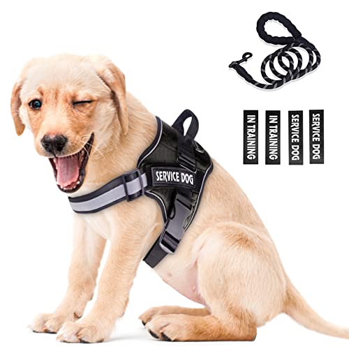 Peswety Service Dog Vest Harness in Training Pet No Pull Pet Puppy Harness Free 5ft Dog Leash 3M Reflective Breathable Small Medium Large(Black L) von Peswety