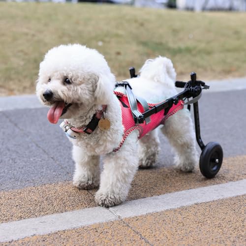 Aktualisierter Hunderollstuhl für Rückenbeine, kleiner Hunderollstuhl mit Rollen, leichter Haustier-Rollstuhl zur Beinstütze, hilft Senioren, Verletzten, Gelähmten, Größe M und Rosa von Pet Baby