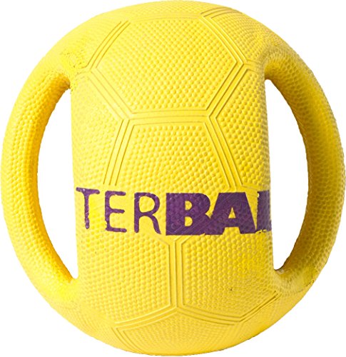 Interball Mini Hundespielzeug von Pet Brands