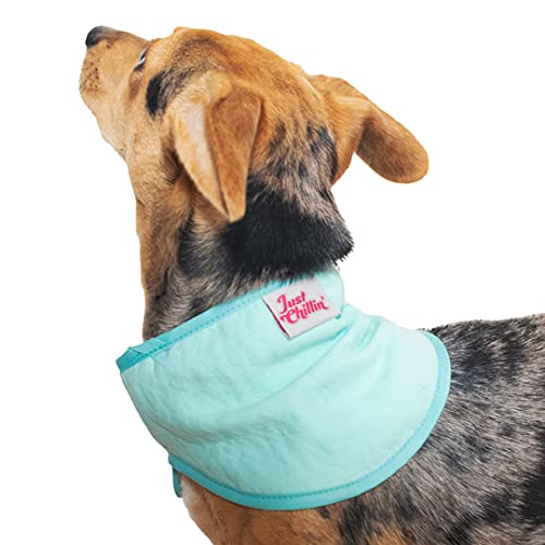Pet Brands Kühlendes Halstuch für Hunde, 44 x 13 cm, verstellbar, kühlend, Größe S/M, Blau von Pet Brands