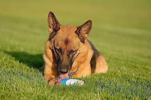 Pet Brands Eiscreme-Plüsch-Hydratations-kühlendes Sommer-Hundespielzeug, 6 x 6 x 12,6 cm von Pet Brands