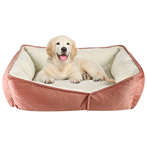 Pet Brands Haustierbett für kleine Hunde und Katzen, rechteckig, gesteppt, maschinenwaschbar, Koralle, 50 x 40 x 18 cm Pet Brands Haustierbett für kleine Hunde und Katzen, rechteckig, gesteppt, maschinenwaschbar, Koralle, 50 x 40 x 18 cm von Pet Brands