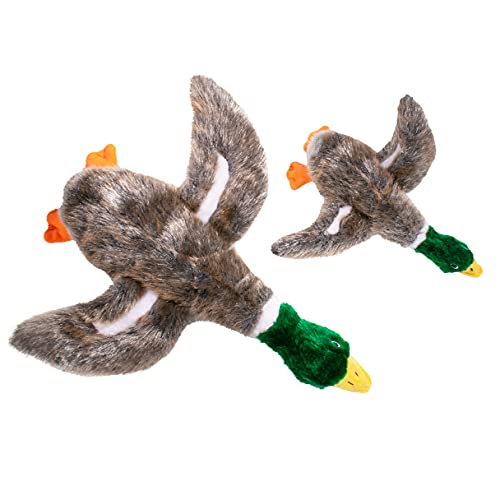Pet Brands Hundespielzeug aus Plüsch, kleine Ente, quietschend, interaktives Hundespielzeug, grau Pet Brands Hundespielzeug aus Plüsch, kleine Ente, quietschend, interaktives Hundespielzeug, grau von Pet Brands