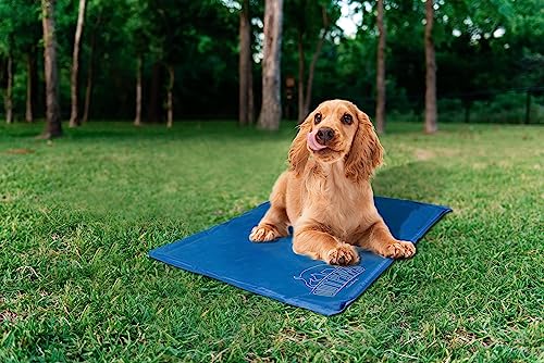 Pet Brands Summer Cooling Non Toxic Gel Cool Mat Large 90x60x3cm von Pet Brands