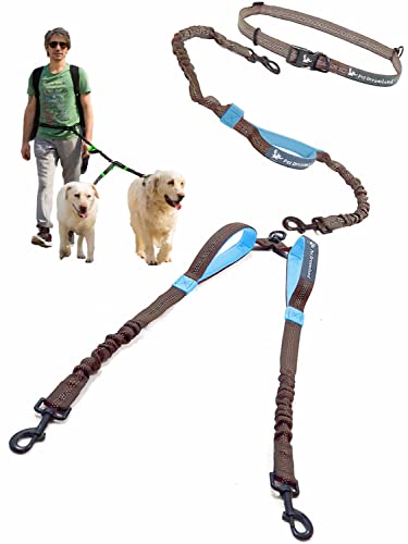 Double Dog Leash for Big Dogs - Two Dogs Coupler Hands Free No Pull Tandem Dual Leash for Large Dogs (Grey & Blue) von Pet Dreamland