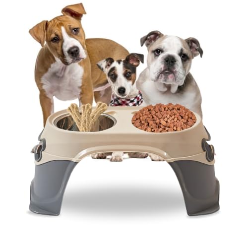 PET Galaxy Erhöhte Hundenäpfe – Futternapfständer für Hunde mit 2 Edelstahlnäpfen, rutschfest, abnehmbares Design für Hunde, Grau von Pet Galaxy