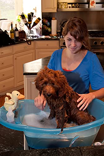 Pet Gear Welpen-Tub, Badewanne für Hunde und Katzen bis 9,1 kg, Easy Drain Tethers Included, Ocean Blue von Pet Gear