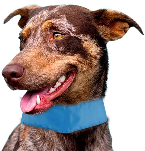 Pet Life Summer Cooling einführbarer und Verstellbarer Kühlakku für Hunde, Einheitsgröße, Blau Pet Life Summer Cooling einführbarer und Verstellbarer Kühlakku für Hunde, Einheitsgröße, Blau von Pet Life