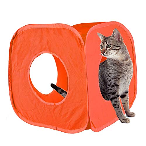 Pet Living Pop-Up-Katzen-Spielwürfel, lustig, starke Box für Katze, Kaninchen, Spielzeug (orange) von Pet Living
